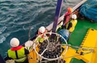 El buque Francisco de Paula Navarro recorre el litoral mediterráneo peninsular estudiando la eutrofización de sus aguas