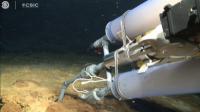 El Centro Oceanográfico de Canarias acoge el ‘III International VULCANA Symposium’, un encuentro clave para la vulcanología submarina y la gestión de emergencias
