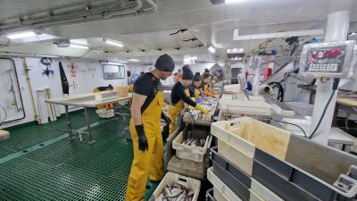 El IEO inicia la campaña Platuxa para evaluar recursos pesqueros en el Gran Banco de Terranova