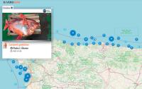 El IEO presenta los resultados de DIVERSIMAR, un proyecto de ciencia ciudadana para estudiar la biodiversidad marina del Cantábrico y Galicia