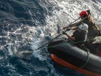 Greenpeace retira 30 kilómetros de arte de pesca industrial en el Atlántico Norte