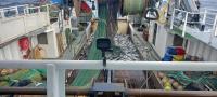 Un estudio evalúa la utilidad de la monitorización electrónica para una gestión pesquera más sostenible