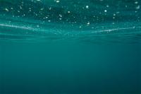 Un nuevo método revela el extraordinario papel de los microbios marinos en el ciclo del carbono