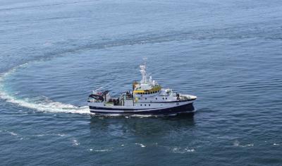 El IEO-CSIC completa una nueva campaña para evaluar la abundancia de la sardina y el boquerón en el golfo de Cádiz