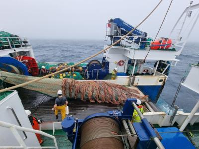 El IEO estudia los recursos pesqueros demersales del Gran Banco de Terranova