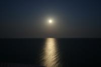 Sincronizar la puesta de huevos con la luna favorece la supervivencia del atún rojo