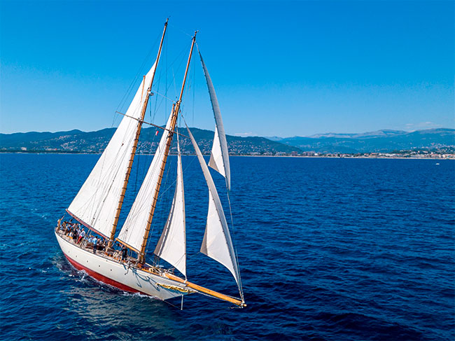 3914_637920198821691126