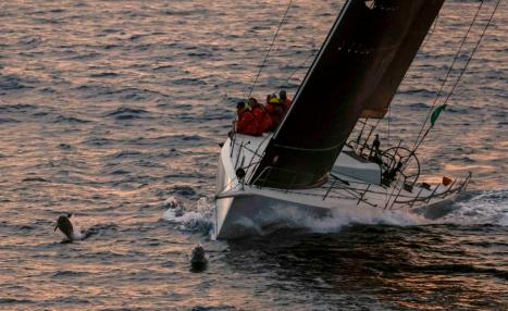 ab3c8755-7adf-4173-b889-40eb9f13d04b