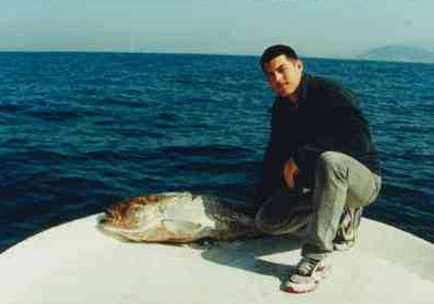 corvina03