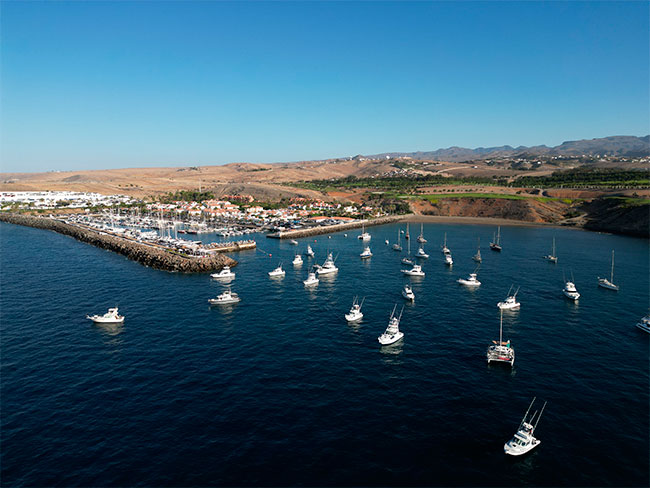 DJI_0031