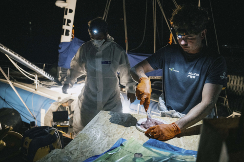 m183368_TORE_02_00_250811_VC_056_DUP