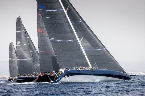 Palmavela-1a3a-b0bf-6c99-a771ed88541d