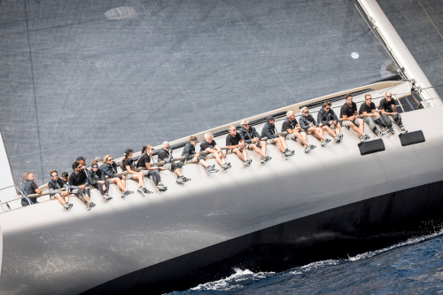 palmavelae434-3b95-5c57-a1e8d81ed55a