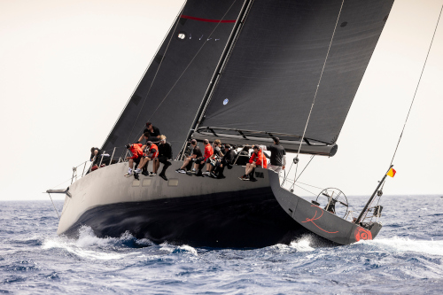 Palmavelaf757-8d67-807d-4b8e99723284