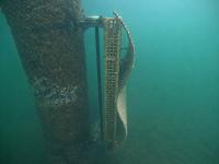 Mares Circulares y Ocean Ecostructures impulsan la renaturalización del Monte Real Club de Yates
