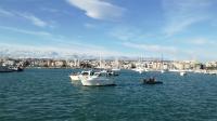 La embarcación del CN Cambrils, Irene IV, ganadora del Concurso de Pesca del Calamar Cheers-Garrote