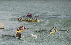 Creación de la Liga Nacional de remo olímpico tradicional 2026