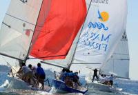 Marbella aspira a ser sede del Cpto. de España de Platú 25 en 2014