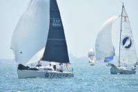 ‘Tecno Fibra Caballo Loco’ del CN Puerto Sherry, campeón andaluz de Crucero en la nueva categoría Familiar