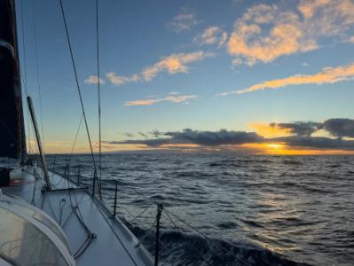 Transat Cafe L'Or. Las cuatro flotas en regata