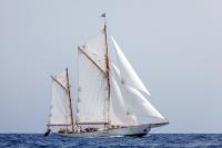 Cariad: un coloso con 130 años de historia